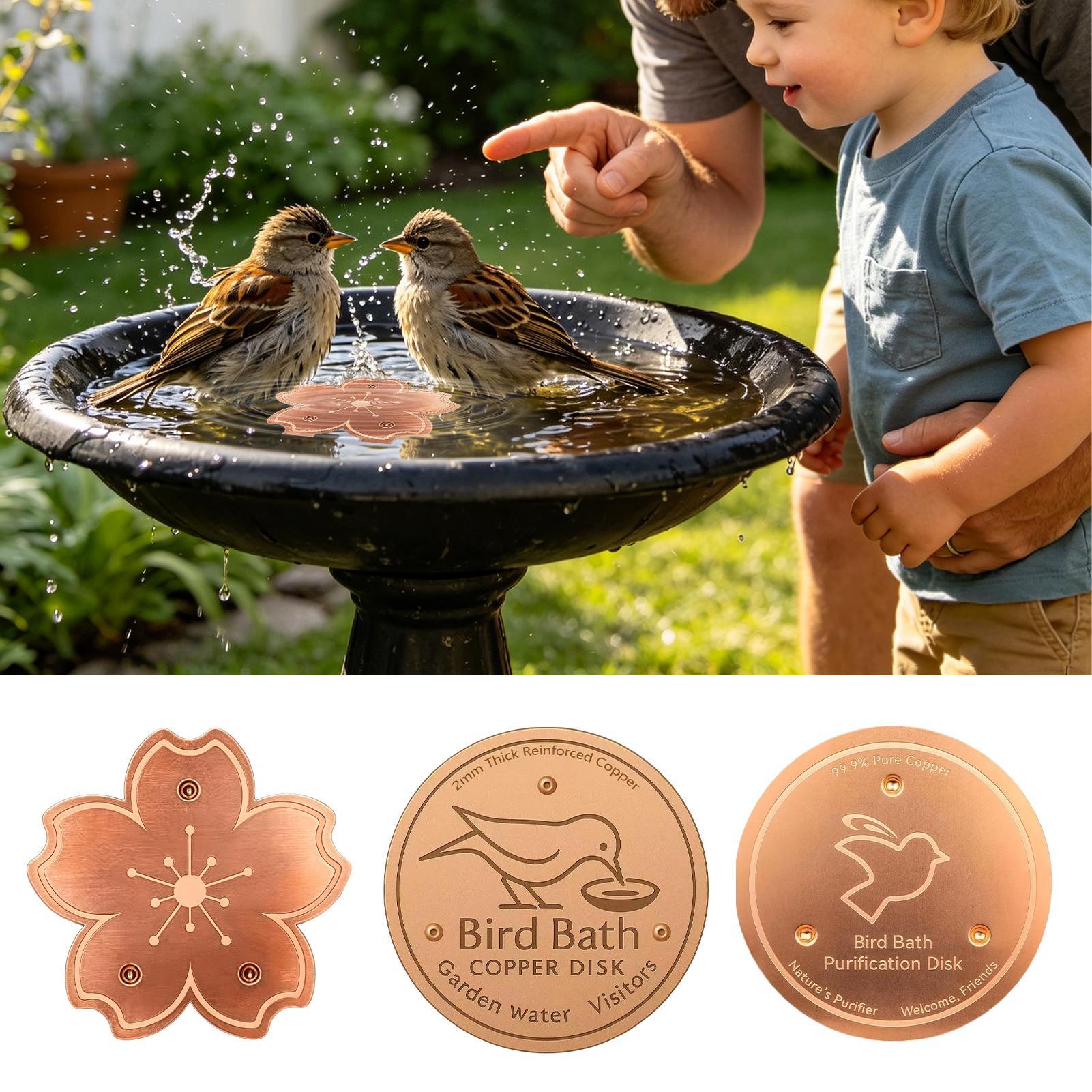 Copper For Bird Bath Safe Puri - огляд і ціна Watches Original